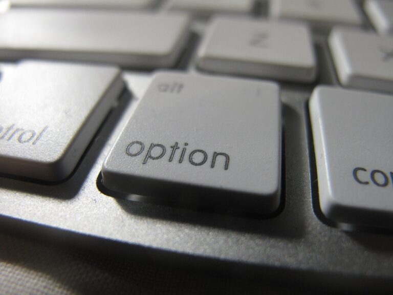Computer option key indicating options